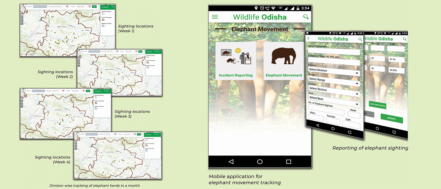 Digital Wildlife Management and Conservation System — 01 Digital Wildlife Management