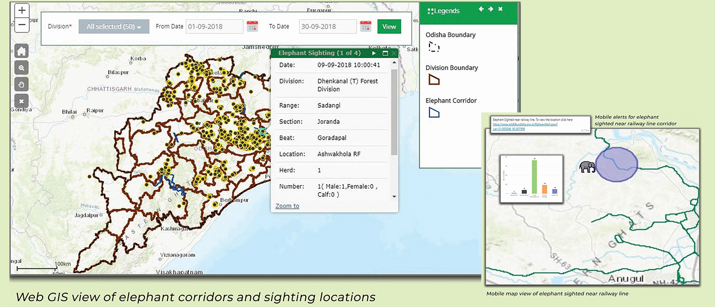 Digital Wildlife Management and Conservation System — 02 Digital Wildlife Management